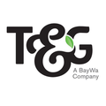 tg global limited