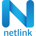 netlink software group america inc