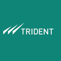 trident group india