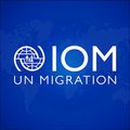 iom un migration