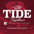 the university of alabama system
