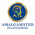 amalgamated plantations pvt ltd