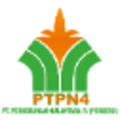 pt perkebunan nusantara iv persero