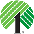 dollar tree stores