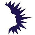 dallas independent school district