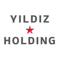 yldz holding