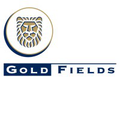gold fields