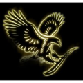 forever living product india