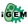 igem competition