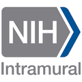 national institutes of health nih intramural research program irp