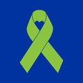 fresenius medical care north america