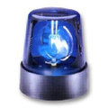 nz police