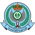 rsaf royal saudi air force