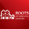roots international schools pakistan