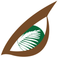 pt eagle high plantations tbk