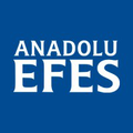 anadolu efes