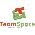 teamspace financial services pvt ltd