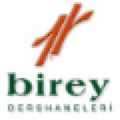 birey egitim kurumlar