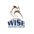 wise staffing group