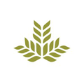 northeast georgia health system