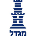 migdal group
