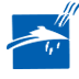 municipio