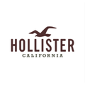 hollister co
