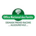 onf office national des forets