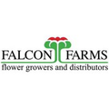falcon farms inc