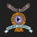 bharati vidyapeeth bharati vidyapeeth deemed university