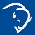 buffalo rock company