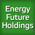 energy future holdings