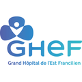 grand hopital de lest francilien