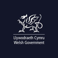 llywodraeth cymru welsh government