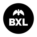 ville de bruxelles stad brussel