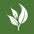fresh ideas management llc