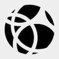 nippon gases