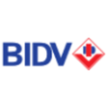bidv bank for investment and development of vietnam