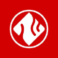 ziegler group