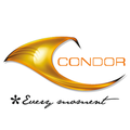 condor group