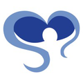 springbrook ny inc
