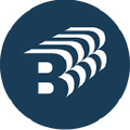NG Bailey IT Services Logo