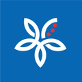 affin group
