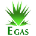 egyptian natural gas holding company egas