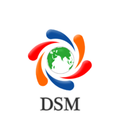 dsm infocom private limited