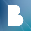 roland berger
