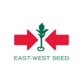 east west seed