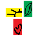 the aman foundation