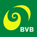 basler verkehrs betriebe bvb
