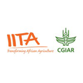 international institute of tropical agriculture iita